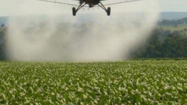 Detalles de la resolución que regula el uso de agroquímicos