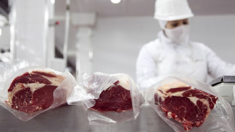 Las ventas al exterior de carne avanzaron un 23% en agosto