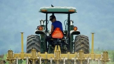 Una menor siembra de soja y maíz en Estados Unidos impulsa los precios