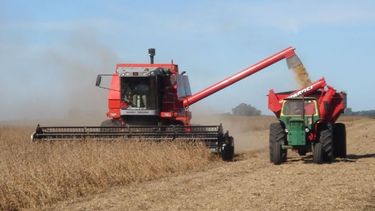 La recolección de soja y maíz alcanzó los 12 millones de toneladas