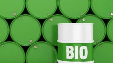 El Gobierno anuló la rebaja en el precio de biocombustibles