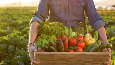 Podrán acceder a los beneficios las personas y firmas alcanzadas por ley de Producción Ecológica, Biológica u Orgánica.