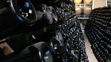 El INTI y el INV se unen para mejorar la competitividad del sector vitivinícola