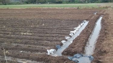 Resaltan que la erosión hídrica afecta al 26% de los suelos argentinos