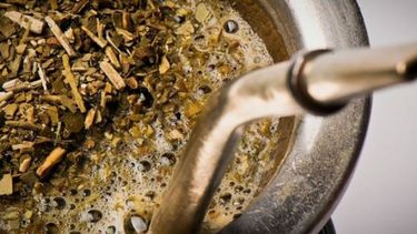 En abril se registró el mayor nivel de consumo de yerba en una década