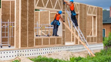 El desarrollo de la bioeconomía nacional.
