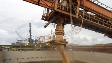 La molienda de soja se acercó a su mayor nivel histórico