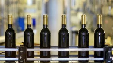 Mercosur-UE: ponen atención en la cadena de valor del vino