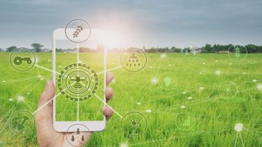 Sube el interés inversor en emprendimientos agtech