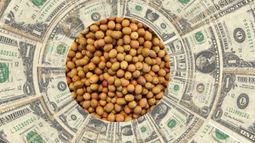 Entró en vigencia el dólar soja III y se suman las economías regionales