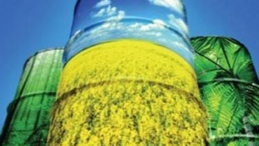 La producción de biocombustibles se expandió un 32% en octubre