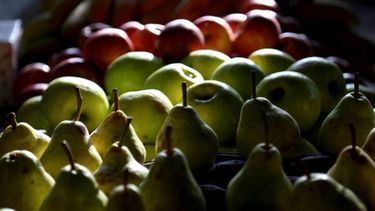 Frutícolas pidió una extensión de la emergencia para peras y manzanas