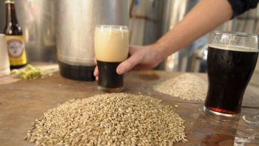 La industrialización de cebada marcó un nuevo récord en 2021