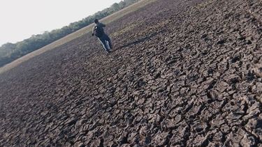 Declaran la emergencia agropecuaria para Corrientes y Chaco