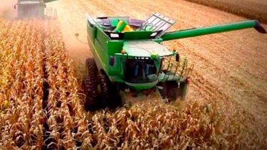 Simplifican trámites relacionados a productores y operadores de granos