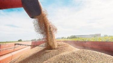 La suba de las retenciones afectará a la competitividad de los agroexportadores