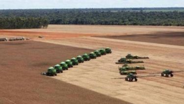 USDA avizora una cantidad récord de soja en Estados Unidos