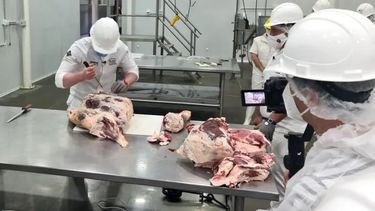 Argentina tendrá su primera Escuela de Oficios de la Carne