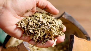 Uno de los productos favoritos de los consumidores argentinos.