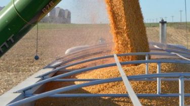 Baja gradual de retenciones sojeras vendrá de la mano de menos presión tributaria