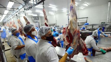 Nuevos plazos para la adecuación de los frigoríficos al sistema de troceo