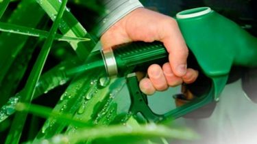 En 2017 podrían elevar a 26% el nivel de bioetanol en combustibles