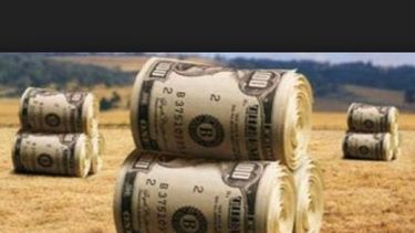 Se reduce la presencia estatal en las ganancias del agro