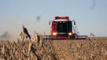 Mantienen las estimaciones del campo pero hay alerta sobre las condiciones climáticas