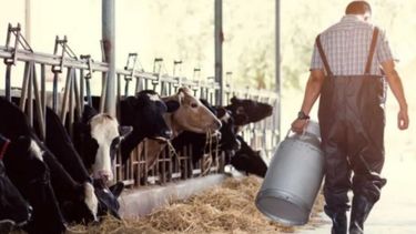 Pino: "El productor tambero argentino recibe el precio más bajo del mundo"