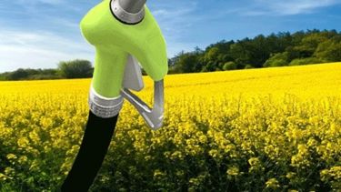 El biodiésel argentino puede salvarse con el mercado interno