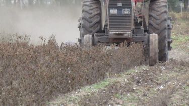 ¿Cómo extender la vida útil del tractor?
