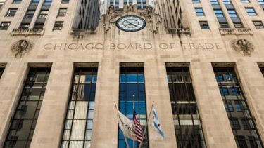 La soja y el maíz retrocedieron posiciones en Chicago