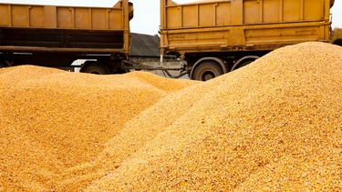 La producción de soja en Brasil tendría una caída de 4%.