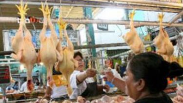 El precio del pollo podría subir un 20 por ciento