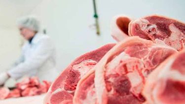 Las exportaciones de carne treparon un 2% gracias a China