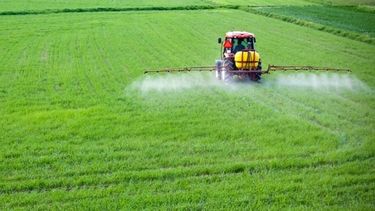 Importadores de insumos para el campo mantendrán sus precios al dólar oficial