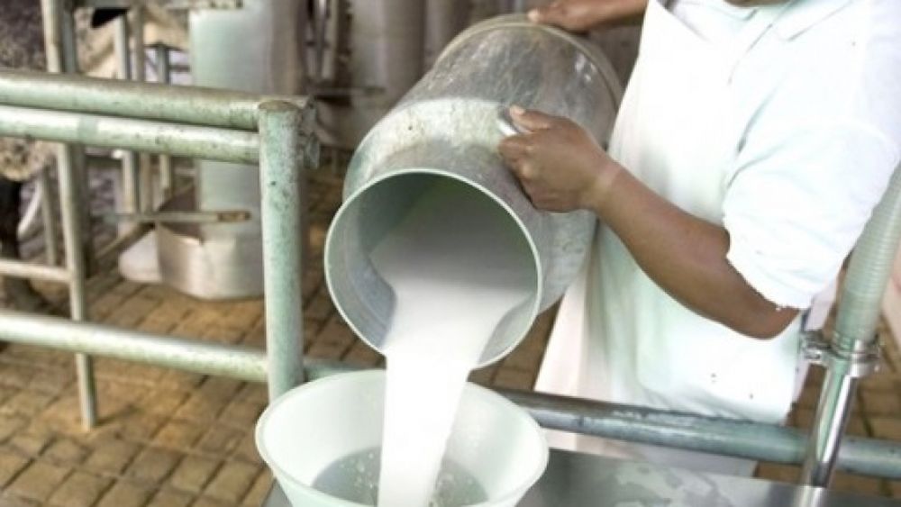 Malas noticias para la producción lechera en 2016