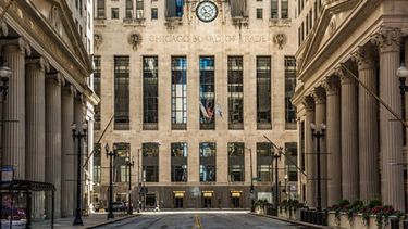 El trigo llegó a su valor máximo en 14 años