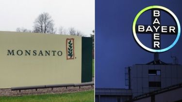 Vuelve a caerse la venta de Monsanto a Bayer