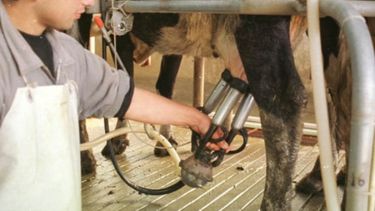 Entregan compensaciones por 3,5 millones de pesos a tamberos