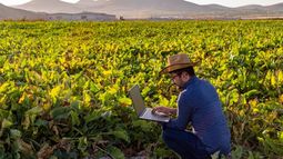 Las innovaciones que necesita el sector en la región.