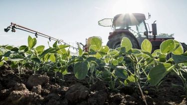 Buen panorama para la soja en áreas de la bolsa bahiense