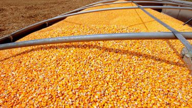 El Gobierno lleva adelante nuevas medidas de transparencia en el comercio de granos