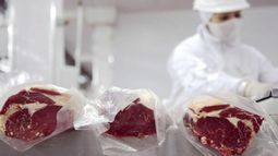 Expectativa por una flexibilización del cepo a las exportaciones de carne