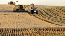 La BCR advirtió podría ser la segunda peor cosecha de los últimos ocho años.