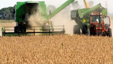 Cosecha de soja reportó 56 millones de toneladas recolectadas
