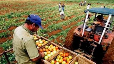 Sigue grande la brecha entre precios de productores agropecuarios y la góndola