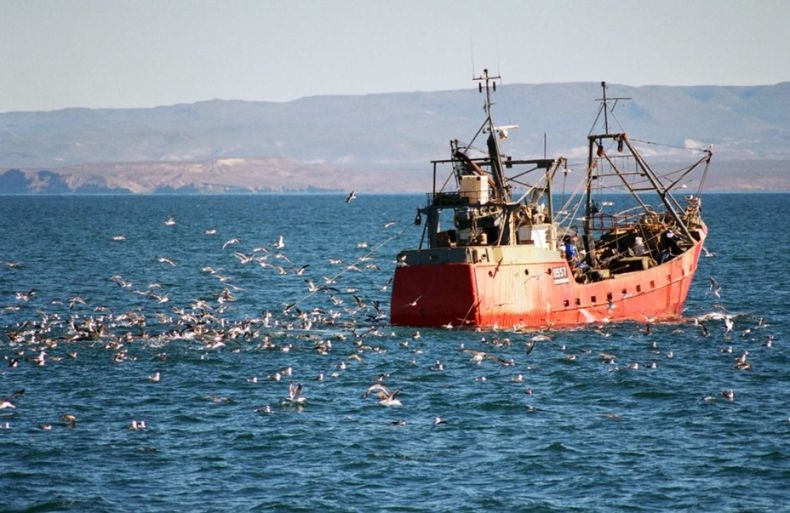 La pesca tuvo un avance cercano a 60 por ciento en marzo
