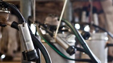 Ante fuertes reclamos de tamberos, el Gobierno promete dar respuestas