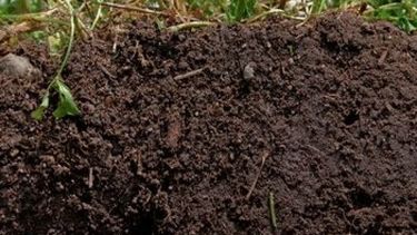 Argentina figura en el top ten de países con mayor reserva de carbono en suelo